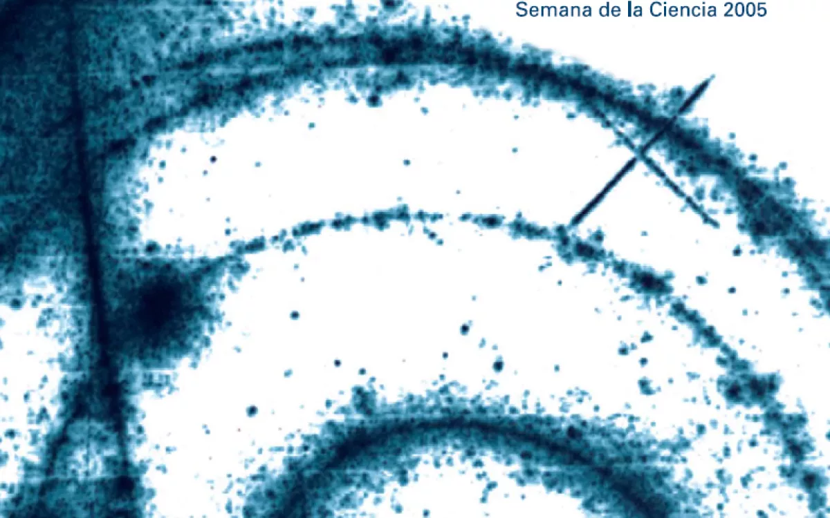 Unidad Didáctica La Huella de Einstein