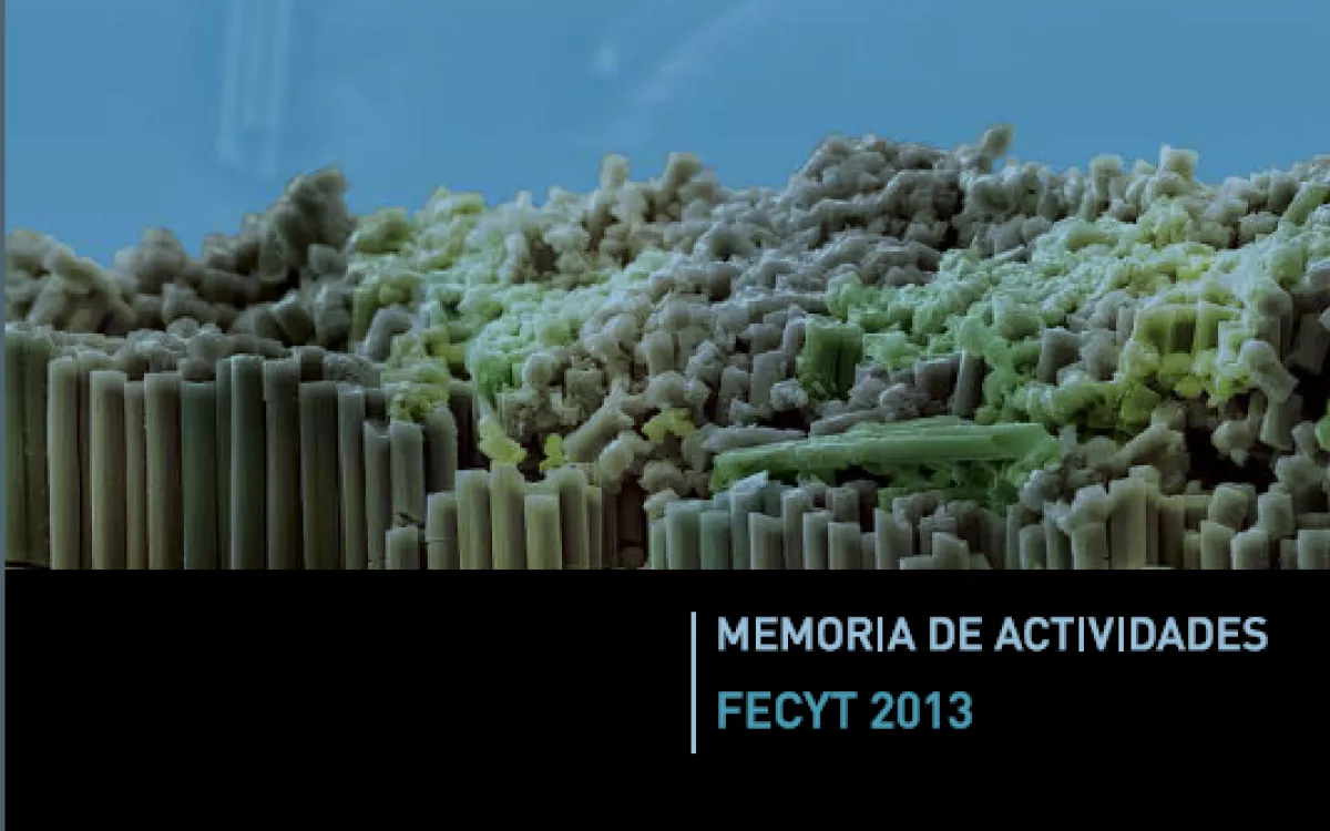 Memoria de Actividades FECYT 2013