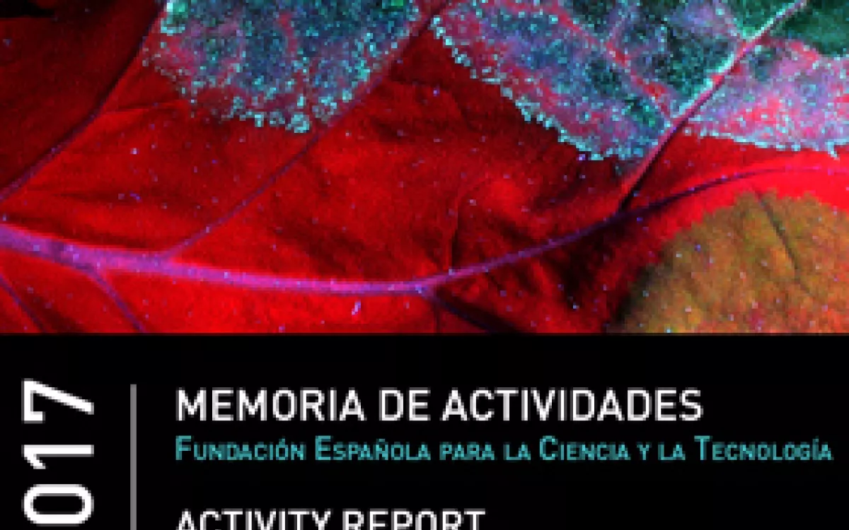 Memoria de Actividades FECYT 2017