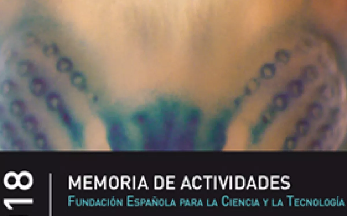 Memoria de Actividades FECYT 2018