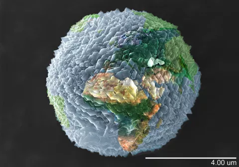 FECYT y CSIC premian las mejores imágenes del año en la 13ª edición del certamen FOTCIENCIA