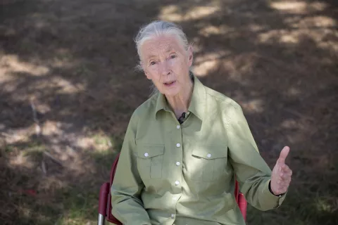 Jane Goodall hace balance de sus 55 años de investigación en África en el MUNCYT