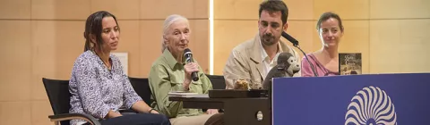 Jane Goodall hace balance de sus 55 años de investigación en África en el MUNCYT