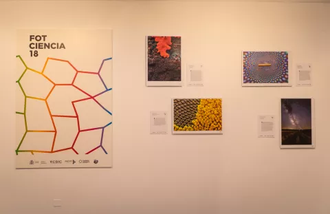 FECYT y CSIC inauguran la exposición FOTCIENCIA18 en el Círculo de Bellas Artes de Madrid