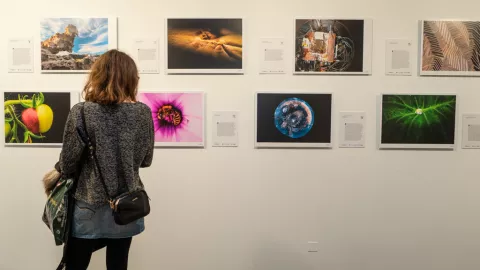 FECYT y CSIC inauguran la exposición FOTCIENCIA18 en el Círculo de Bellas Artes de Madrid