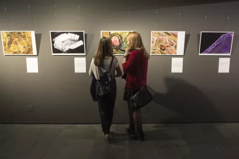 Exposición Fotciencia12 en el Museo Nacional de Ciencia y Tecnología