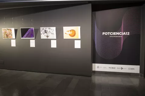 Exposición Fotciencia12 en el Museo Nacional de Ciencia y Tecnología