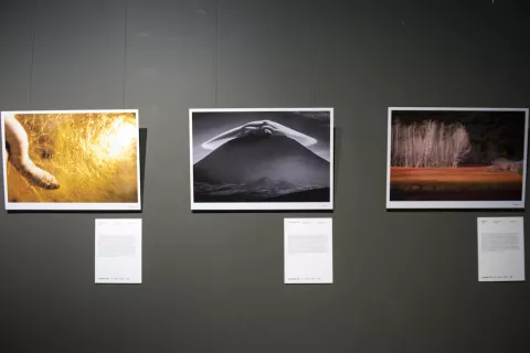 Exposición Fotciencia12 en el Museo Nacional de Ciencia y Tecnología