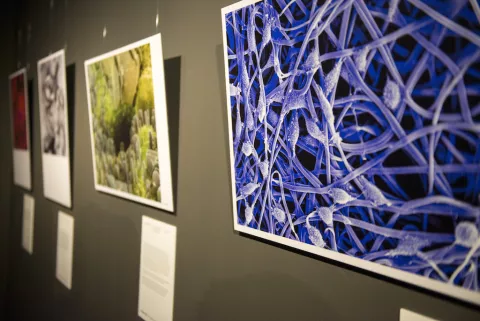 Exposición Fotciencia12 en el Museo Nacional de Ciencia y Tecnología