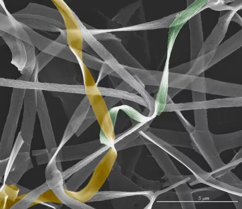 FECYT y CSIC eligen las mejores imágenes del año en la 14ª edición de FOTCIENCIA