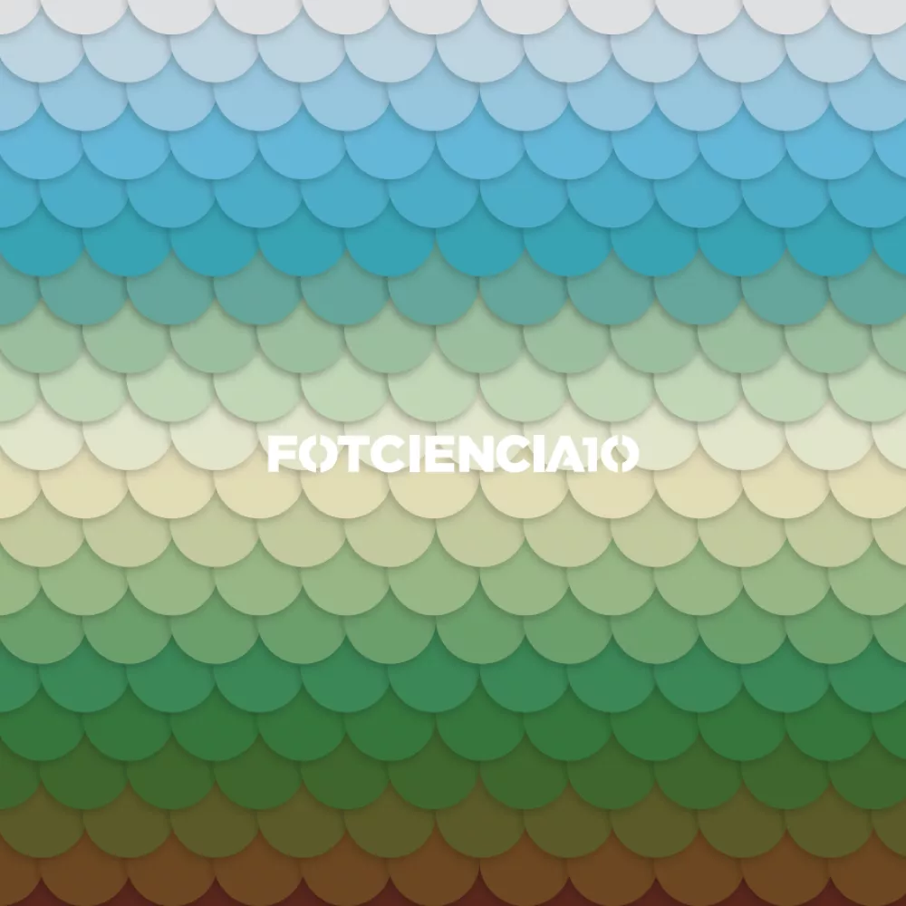 FOTCIENCIA10