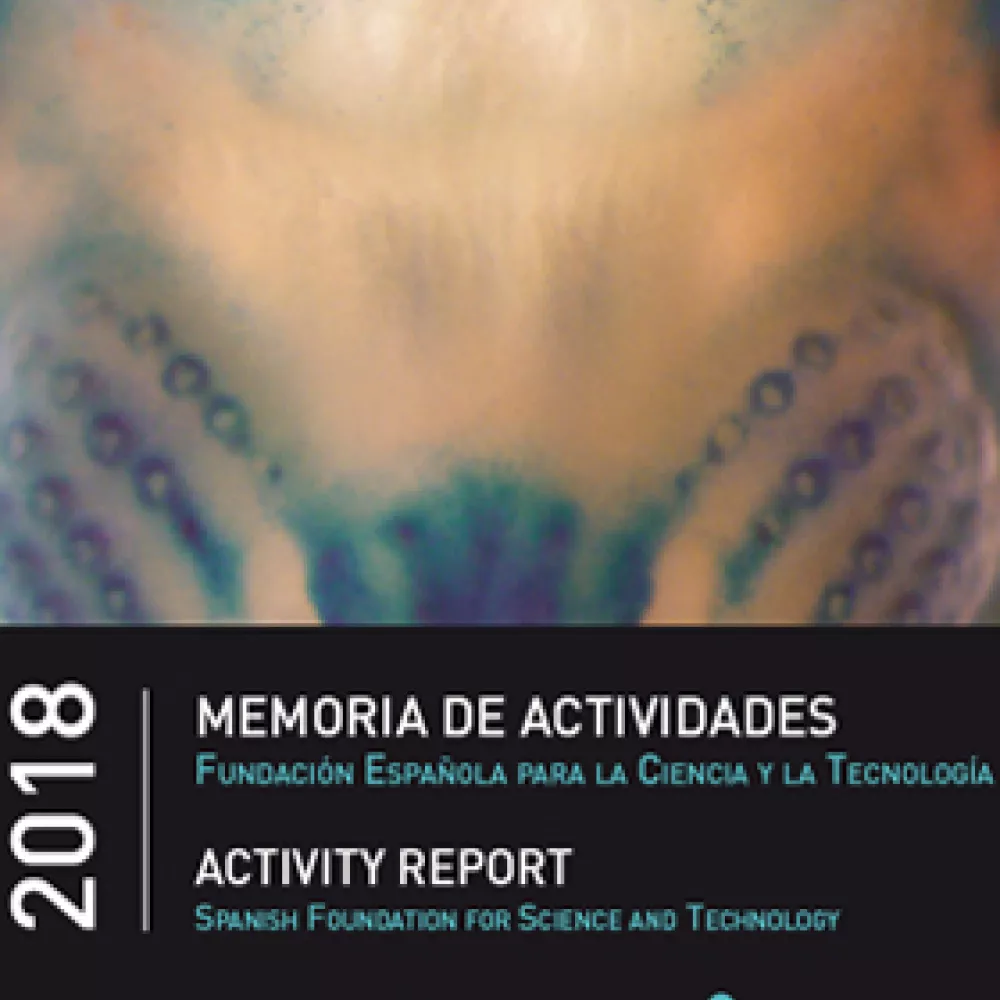 Memoria de Actividades FECYT 2018