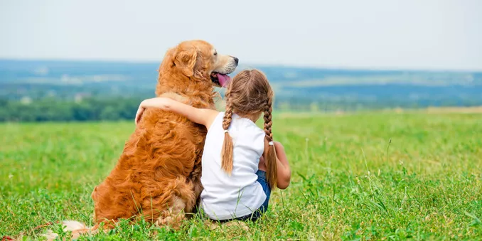 Cómo puedes ayudar para el tratamiento y prevención de la leishmaniosis canina